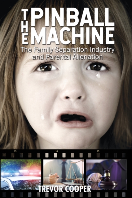 The Pinball Machine : The Family Separation Industry and Parental Alienation, Paperback / softback Book