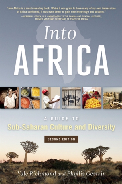 Into Africa : A Guide to Sub-Saharan Culture and Diversity, Paperback / softback Book