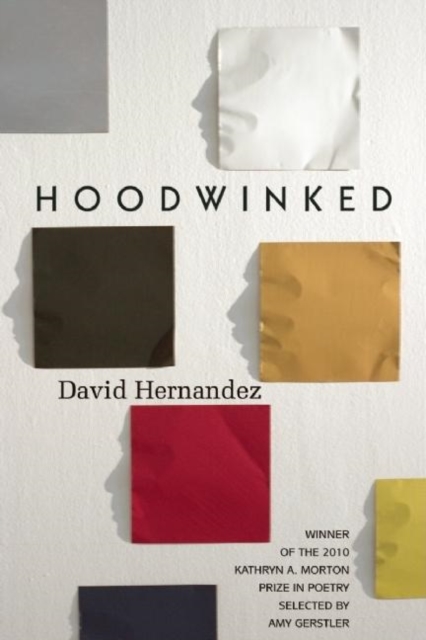 Hoodwinked, Paperback / softback Book