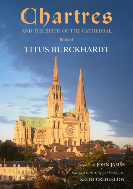 Chartres and the Birth of the Cathedral, Paperback / softback Book