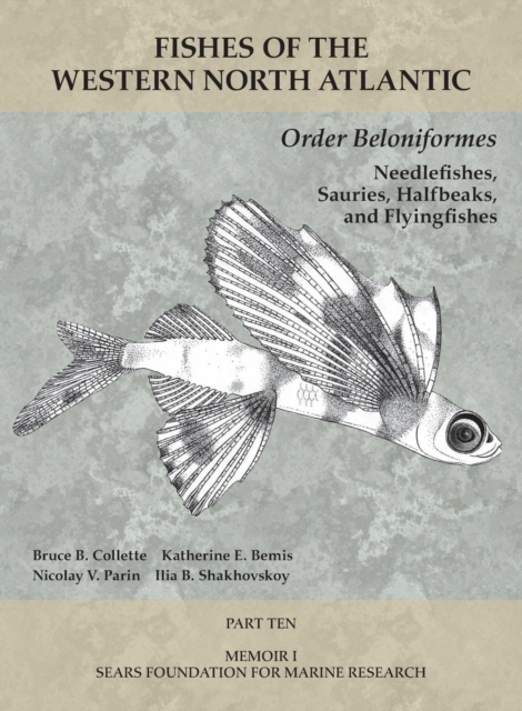 Order Beloniformes: Needlefishes, Sauries, Halfbeaks, and Flyingfishes : Part 10, Paperback / softback Book