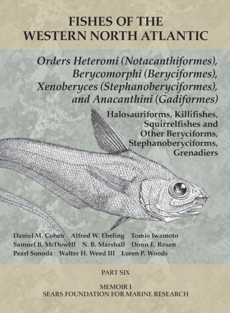 Orders Heteromi (Notacanthiformes), Berycomorphi (Beryciformes), Xenoberyces (Stephanoberyciformes), Anacanthini (Gadiformes) : Part 6, PDF eBook