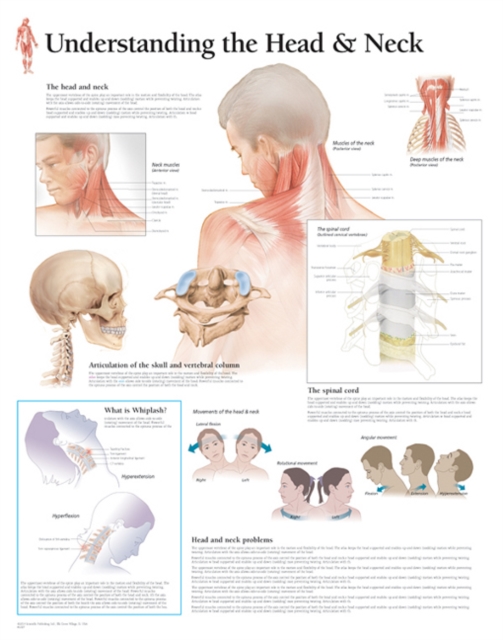 Understanding the Head & Neck Paper Poster, Poster Book