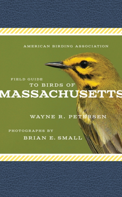 American Birding Association Field Guide to Birds of Massachusetts, Paperback / softback Book