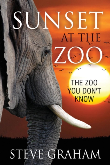 Sunset at the Zoo : The Zoo You Don't Know, Paperback / softback Book