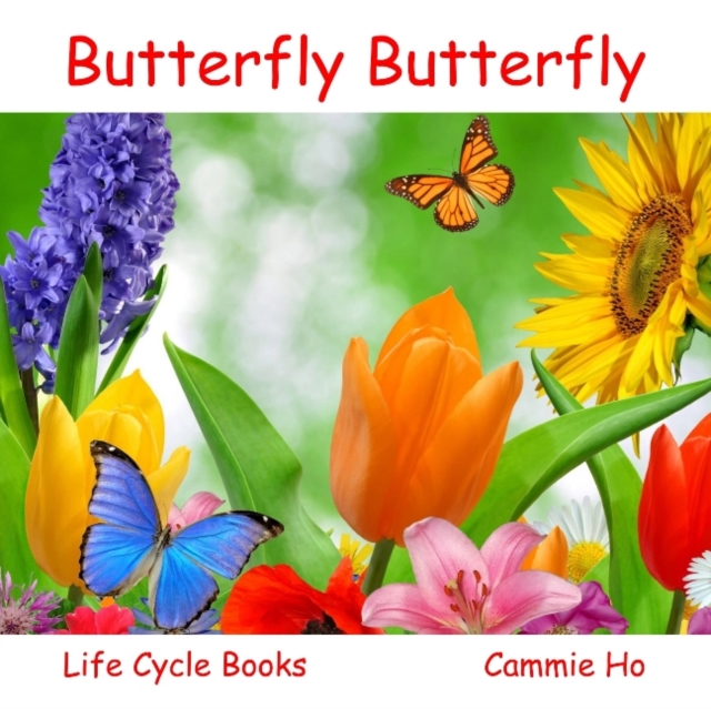 Butterfly Butterfly, Paperback / softback Book
