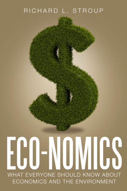 Economics : What Everyone Should Know About Economics and the Environment, Paperback / softback Book