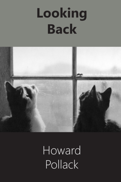 Looking Back : A Memoir, Paperback / softback Book