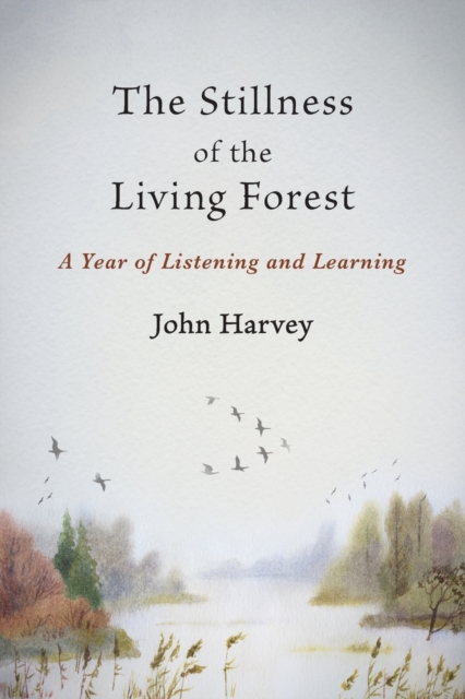 The Stillness of the Living Forest : A Year of Listening and Learning, Paperback / softback Book