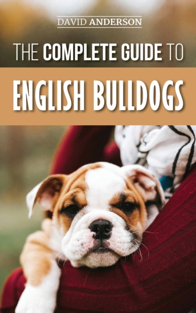 The Complete Guide to English Bulldogs : How to Find, Train, Feed, and Love your new Bulldog Puppy, Hardback Book