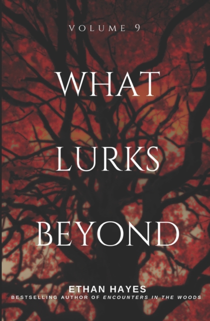 What Lurks Beyond : Volume 9, Paperback / softback Book