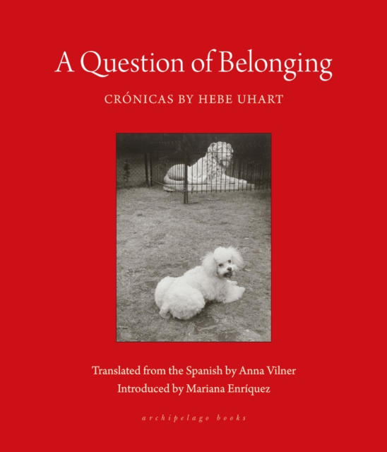 A Question Of Belonging : Cronicas, Paperback / softback Book