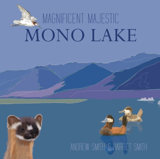 Magnificent Majestic Mono Lake, Paperback / softback Book