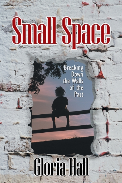 Small Space, Paperback / softback Book