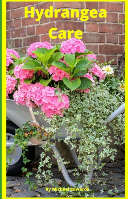 Hydrangea Care : How To Care For Hydrangeas For Beginners - Easy Home Gardening, Paperback / softback Book