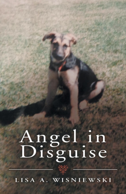 Angel in Disguise, Paperback / softback Book