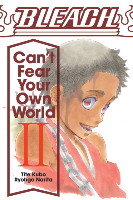 Bleach: Can't Fear Your Own World, Vol. 2, Paperback / softback Book