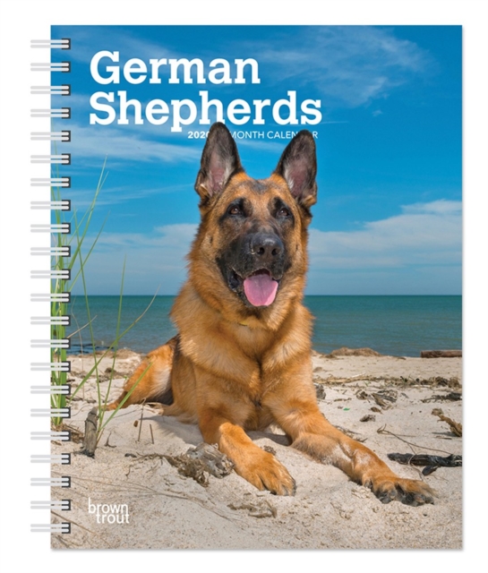 German Shepherds 2020 Diary, Diary Book