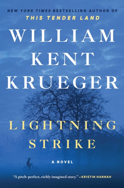 Lightning Strike : A Novel, Hardback Book