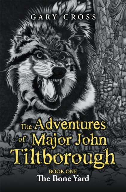 The Adventures of Major John Tiltborough : Book One, EPUB eBook