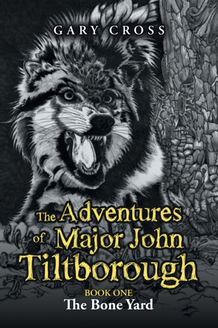The Adventures of Major John Tiltborough : Book One, Paperback / softback Book