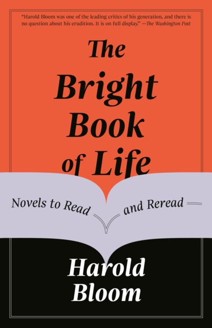 The Bright Book of Life : Novels to Read and Reread, Paperback / softback Book