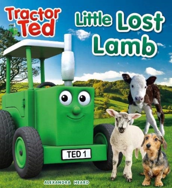 Tractor Ted Lost Little Lamb, Paperback / softback Book