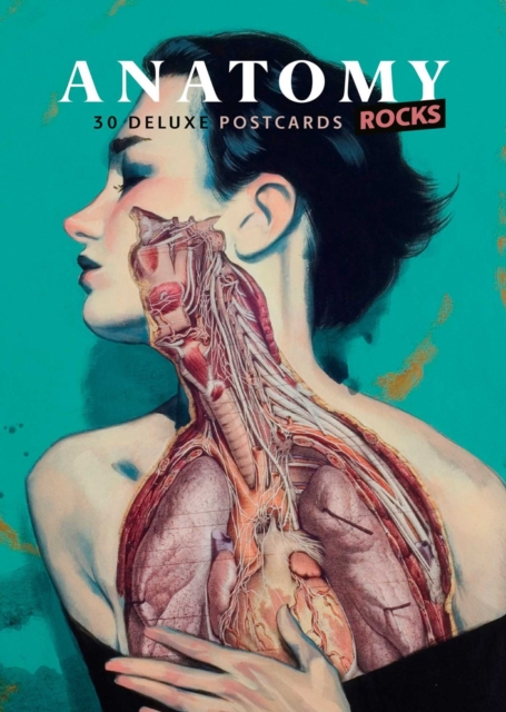 Anatomy Rocks: 30 Deluxe Postcards, Postcard book or pack Book