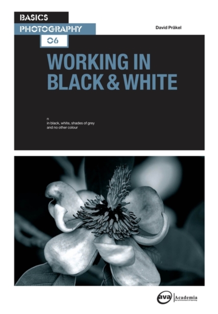 Working in Black & White, Paperback / softback Book