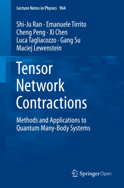 Tensor Network Contractions : Methods and Applications to Quantum Many-Body Systems, PDF eBook