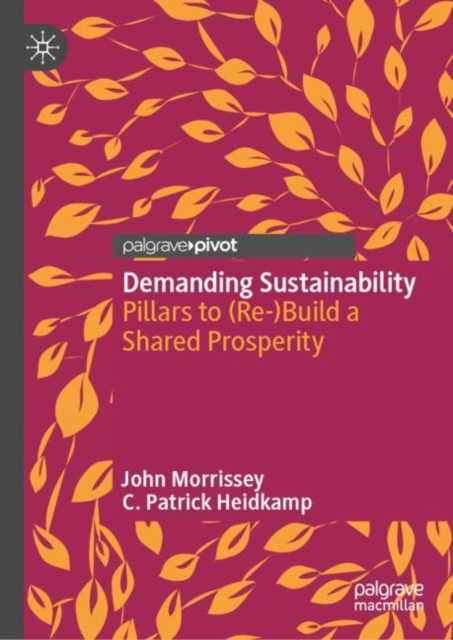 Demanding Sustainability : Pillars to (Re-)Build a Shared Prosperity, Hardback Book