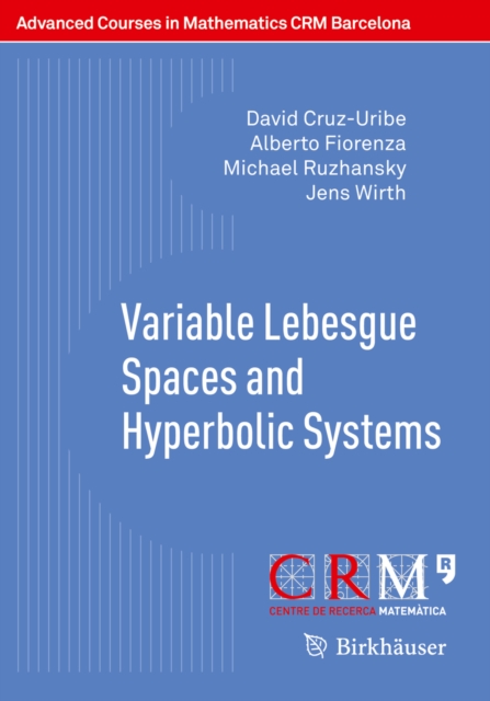 Variable Lebesgue Spaces and Hyperbolic Systems, PDF eBook