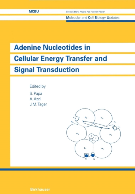 Adenine Nucleotides in Cellular Energy Transfer and Signal Transduction : UNESCO, Paperback / softback Book