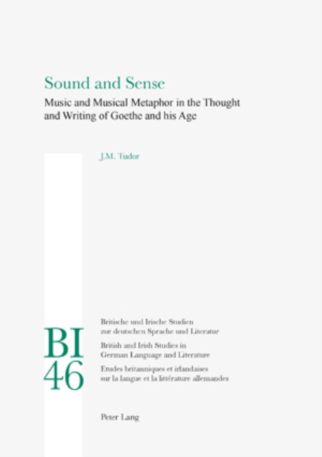 Sound and Sense : Music and Musical Metaphor in the Thought and Writing of Goethe and His Age, PDF eBook