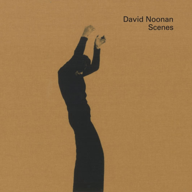 David Noonan : Scenes, Hardback Book