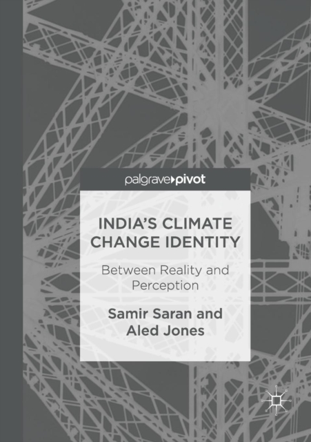 India's Climate Change Identity : Between Reality and Perception, Paperback / softback Book