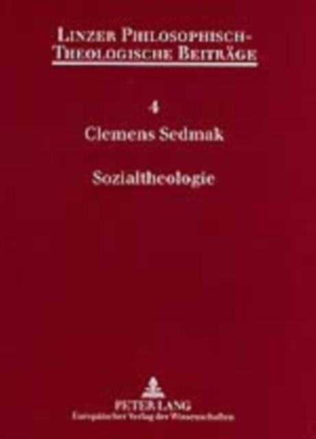 Sozialtheologie : Theologie, Sozialwissenschaft Und Der Cultural Turn, Paperback / softback Book