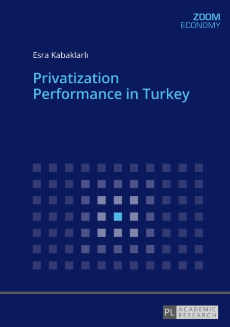 Privatization Performance in Turkey, Paperback / softback Book