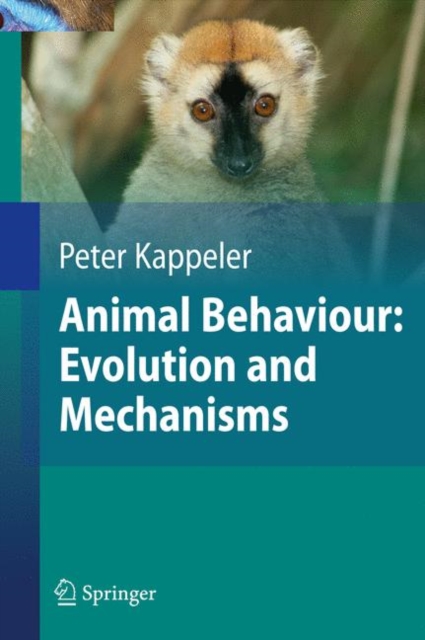 Animal Behaviour: Evolution and Mechanisms, Hardback Book