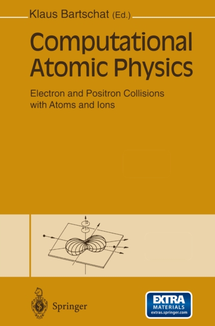 Computational Atomic Physics : Electron and Positron Collisions with Atoms and Ions, PDF eBook