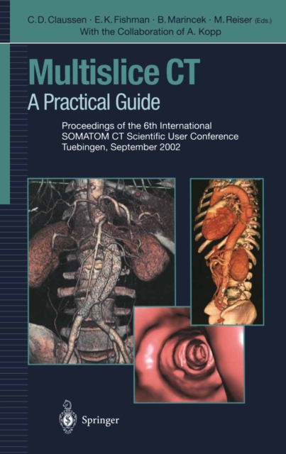 Multislice CT : A Practical Guide Proceedings of the 6th International SOMATOM CT Scientific User Conference Tuebingen, September 2002, Paperback / softback Book