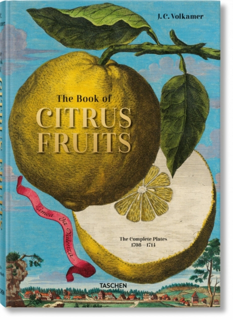 J. C. Volkamer. Citrus Fruits, Hardback Book