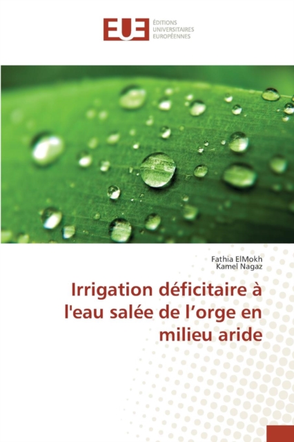 Irrigation Deficitaire A l'Eau Salee de l'Orge En Milieu Aride, Paperback / softback Book