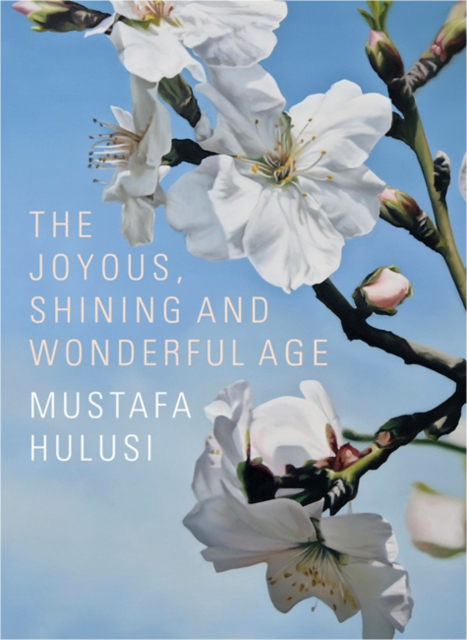 Mustafa Hulusi : The Joyous, Shining And Wonderful Age, Hardback Book
