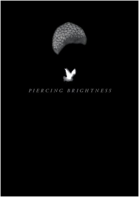 Shezad Dawood : Piercing Brightness, Hardback Book
