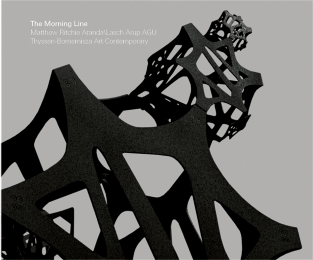 Matthew Ritchie : The Morning Line, Hardback Book