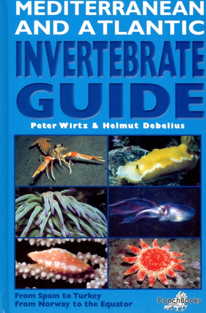 Mediterranean and Atlantic Invertebrate Guide : From Spain to Turkey, from Norway to the Equator, Hardback Book