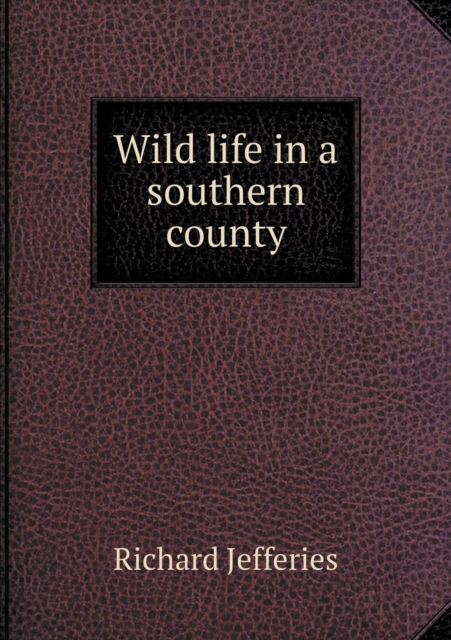 Wild Life in a Southern County, Paperback / softback Book