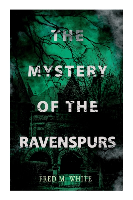 The Mystery of the Ravenspours : The Black Valley, Paperback / softback Book