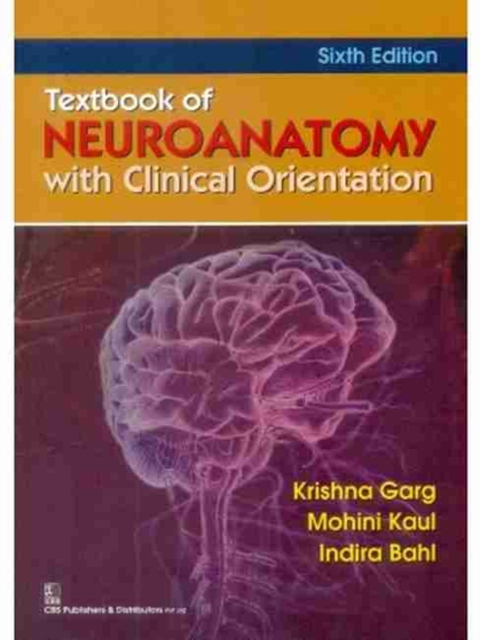Textbook of Neuroanatomy with Clinical Orientation, Paperback / softback Book